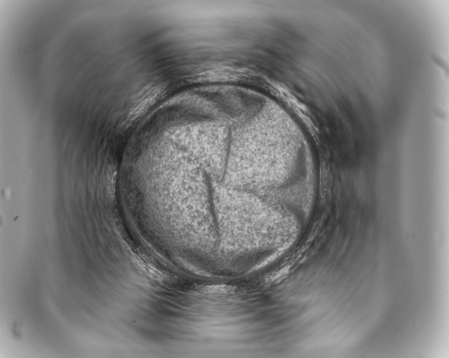 X0000094940153200712201122