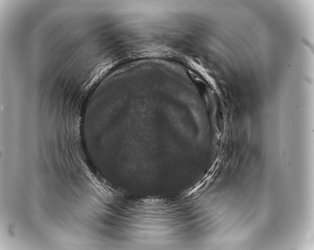 X0000094940154200712201122