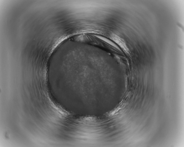 X0000094940156200712201122