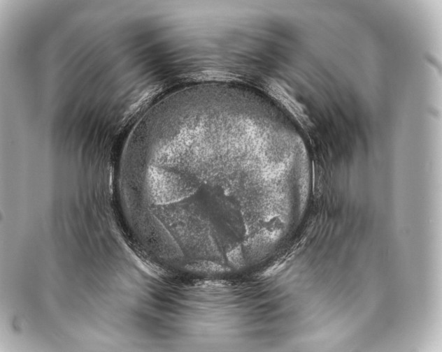 X0000094940157200712201122