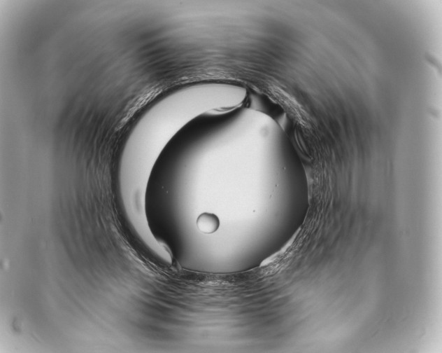 X0000094940158200712201122