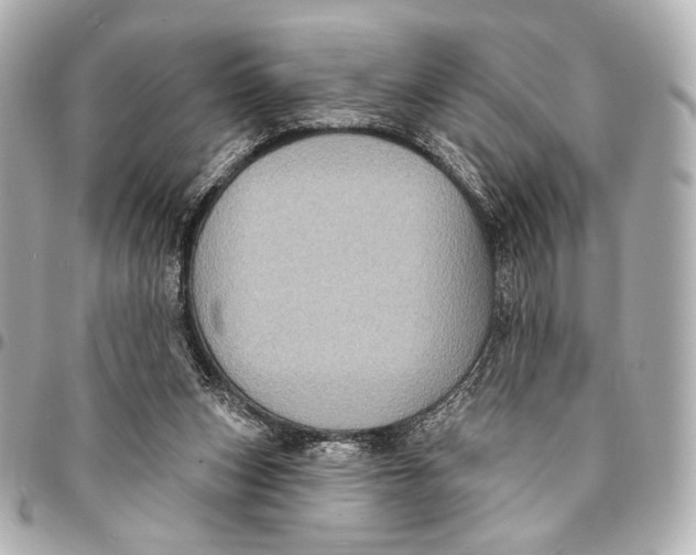 X0000094940159200712201122