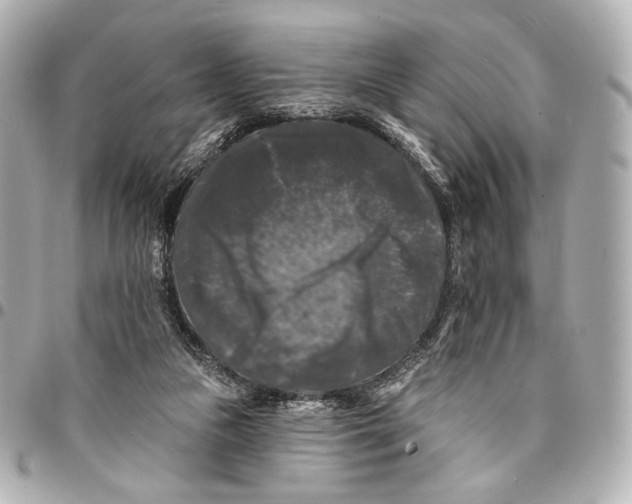 X0000094940161200712201123