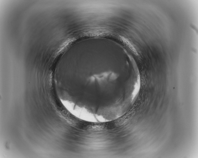 X0000094940163200712201123