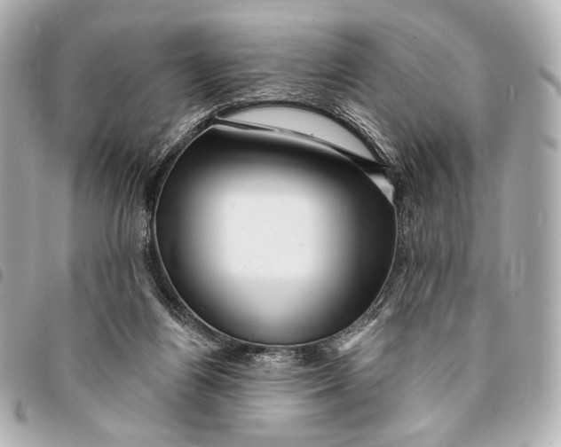 X0000094940164200712201123