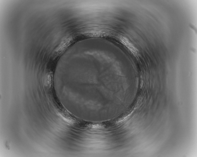 X0000094940165200712201123