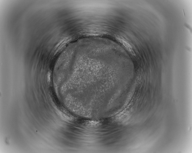 X0000094940166200712201123