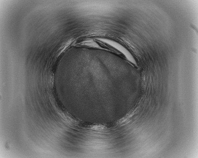 X0000094940168200712201123