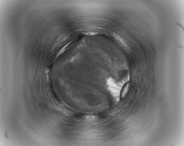 X0000094940169200712201123