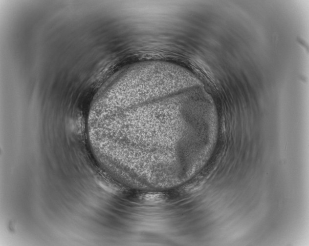 X0000094940173200712201123