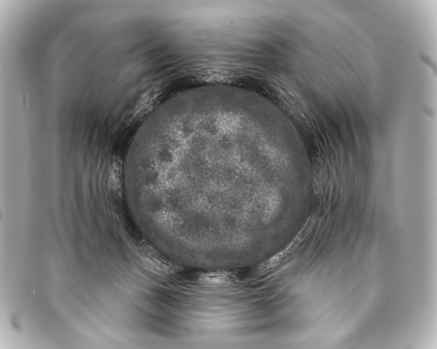 X0000094940175200712201123