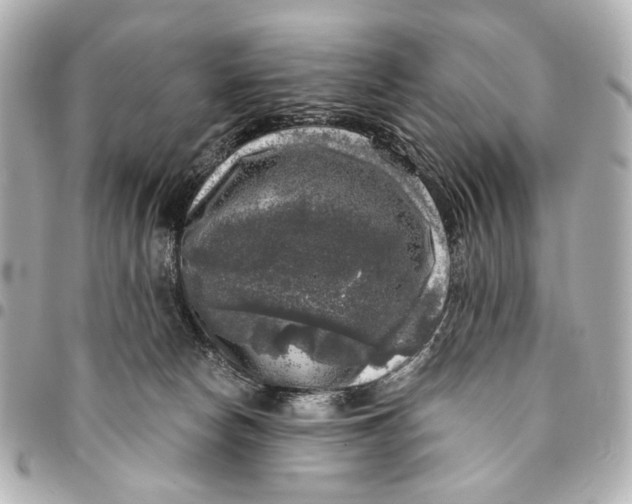 X0000094940178200712201123