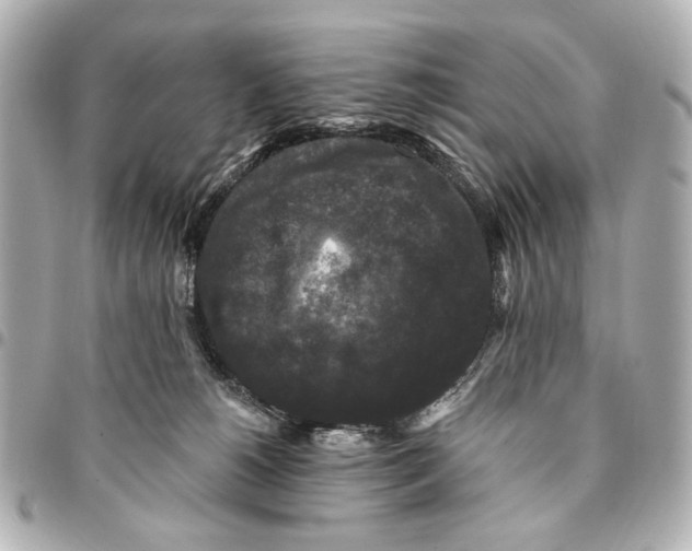 X0000094940180200712201123