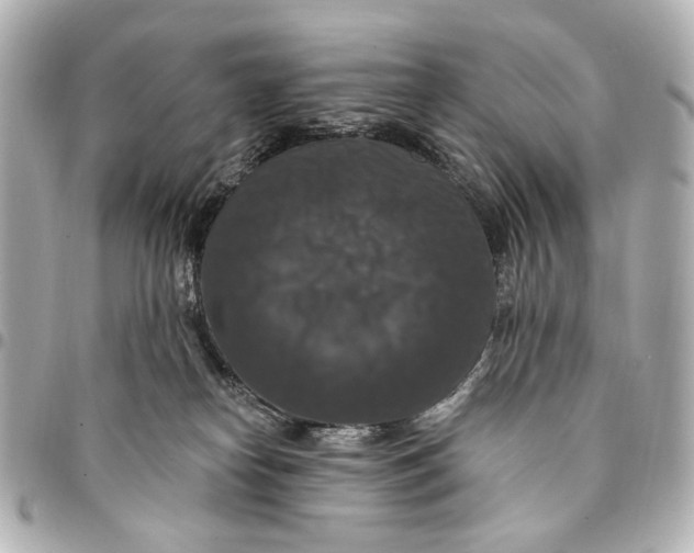 X0000094940182200712201123