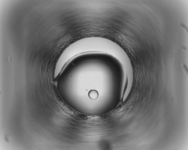 X0000094940185200712201123