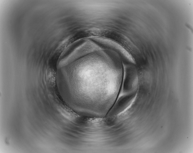 X0000094940186200712201123