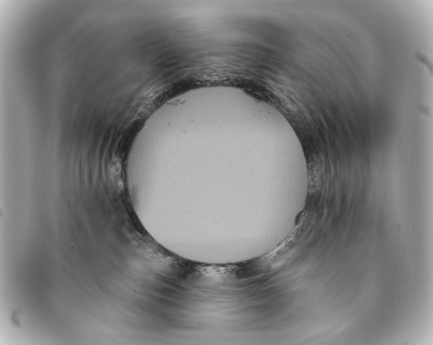 X0000094940187200712201123