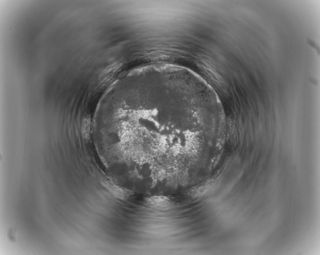 X0000094940189200712201123