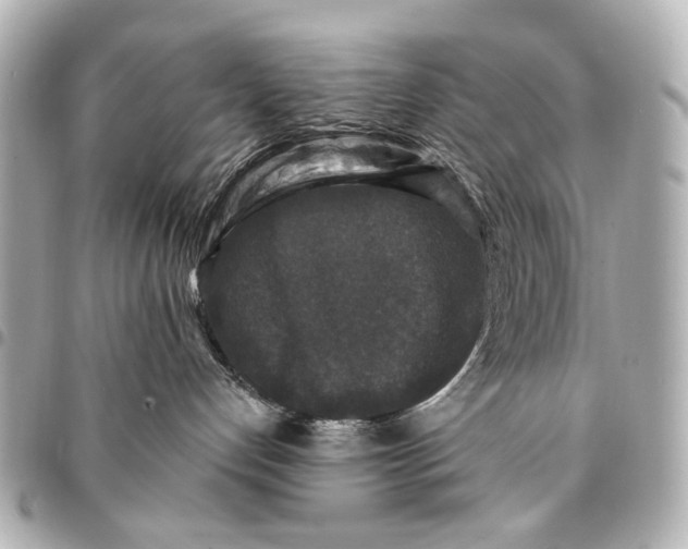 X0000094940192200712201123