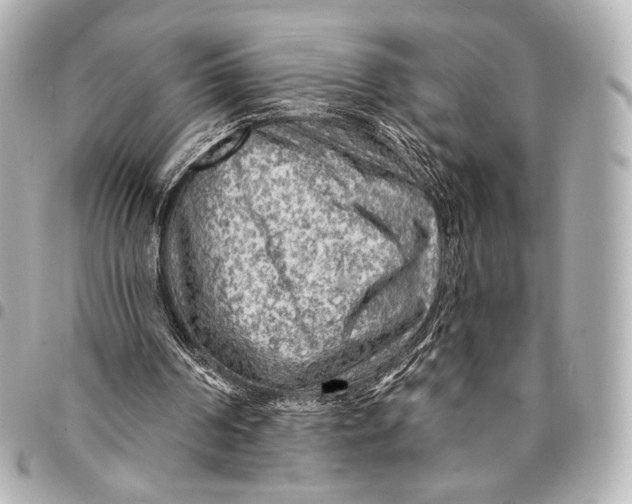 X0000094940194200712201122