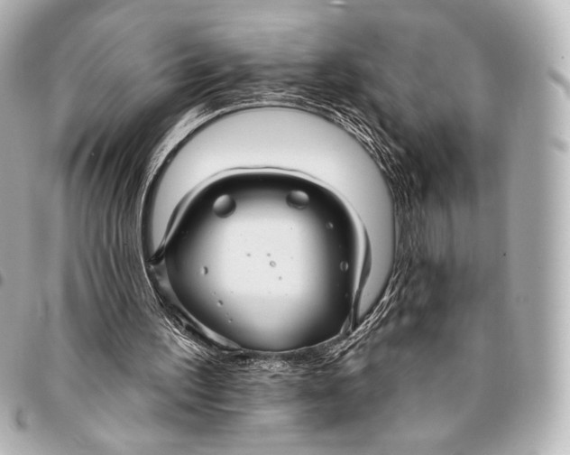 X0000094940195200712201122