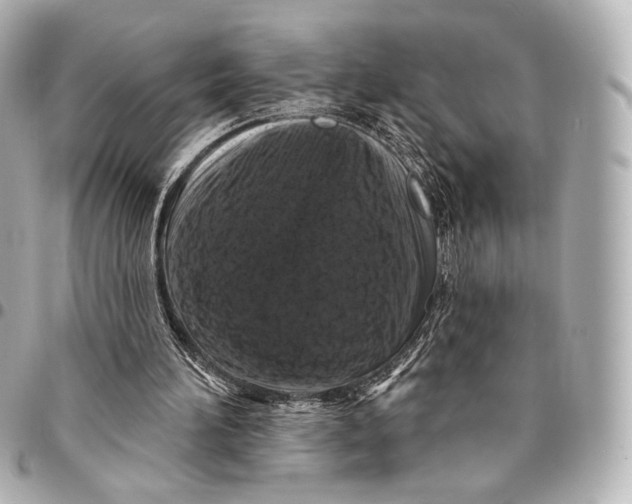 X0000094940196200712201122