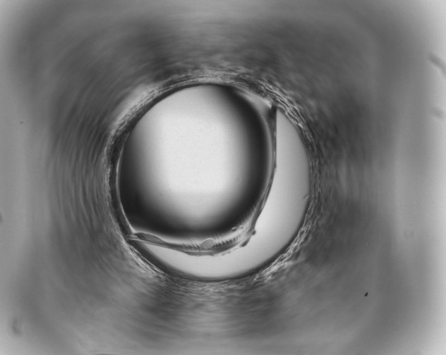 X0000094940197200712201122