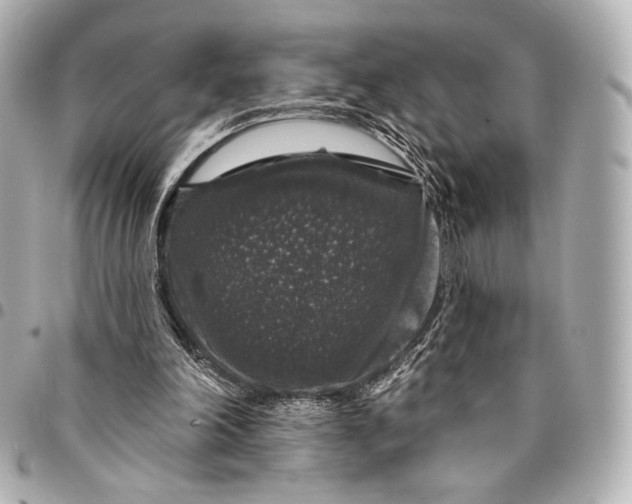 X0000094940198200712201122