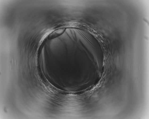 X0000094940200200712201122