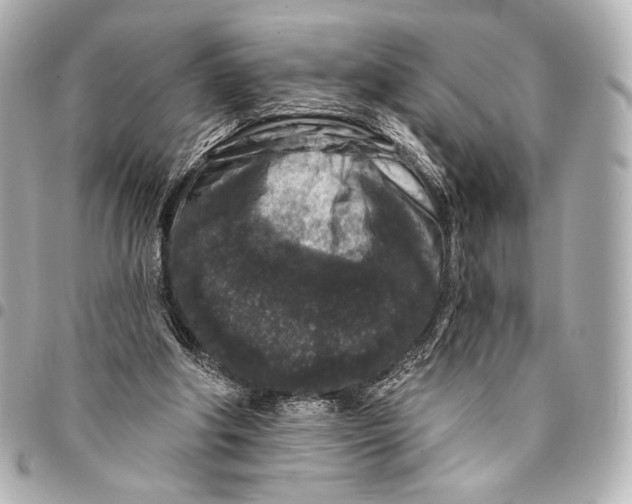 X0000094940202200712201122