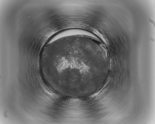 X0000094940203200712201122