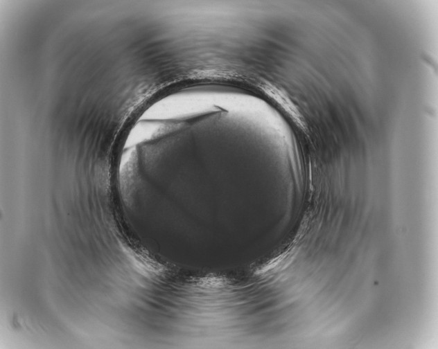 X0000094940204200712201122