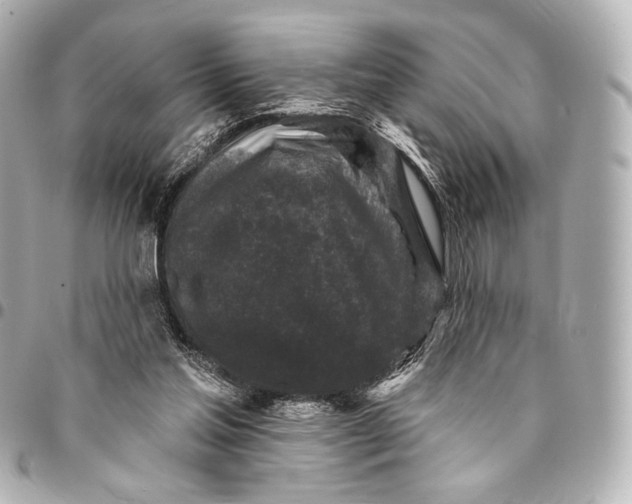 X0000094940205200712201122