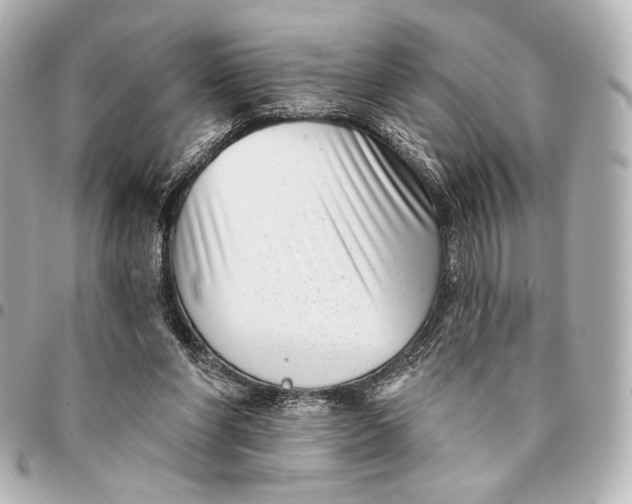 X0000094940206200712201122