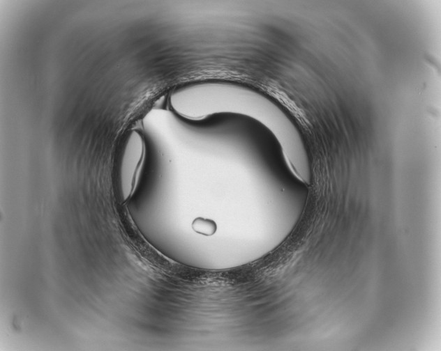 X0000094940207200712201122