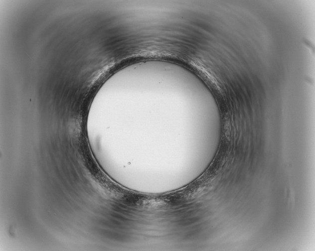 X0000094940208200712201122