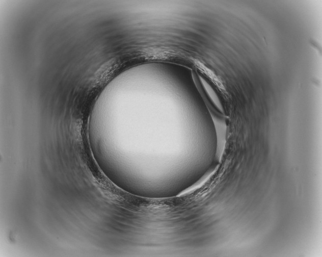 X0000094940209200712201122