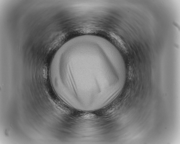 X0000094940210200712201122