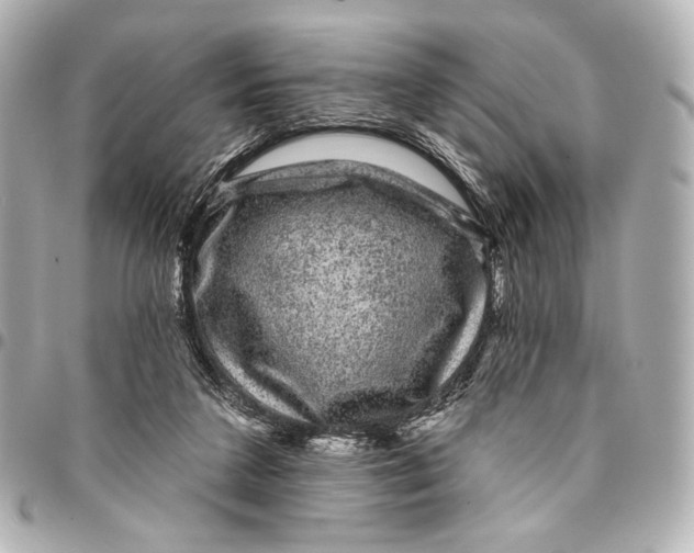 X0000094940211200712201122