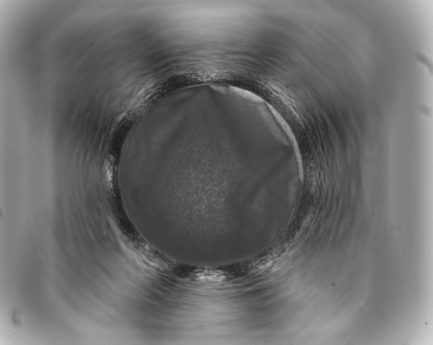 X0000094940214200712201122