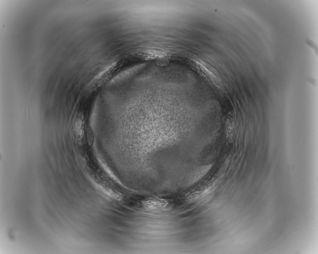 X0000094940215200712201122