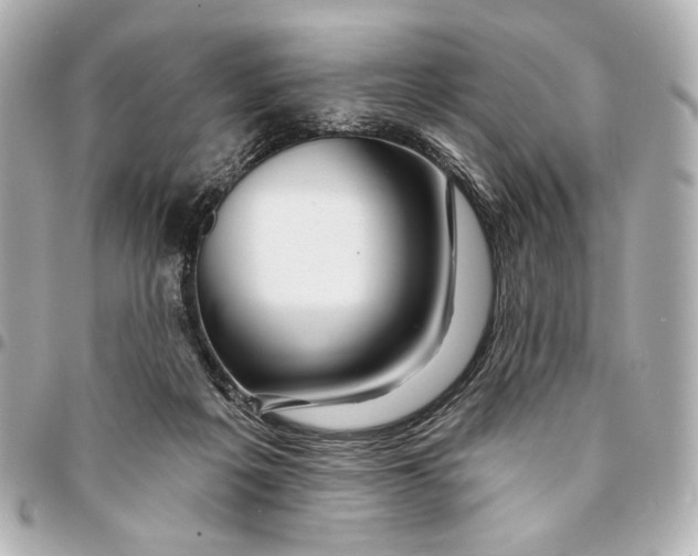 X0000094940217200712201122