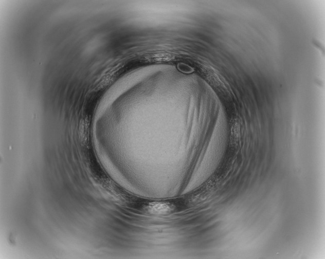 X0000094940218200712201122