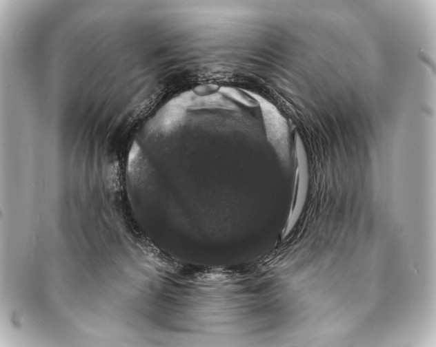 X0000094940224200712201122