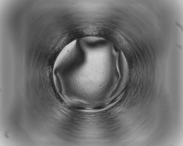 X0000094940229200712201122