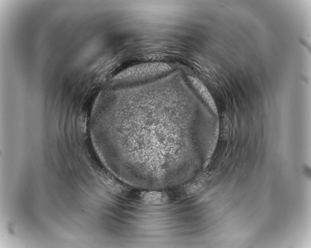 X0000094940230200712201122