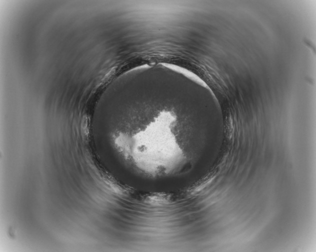 X0000094940232200712201122