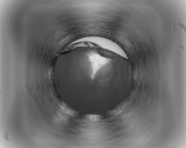 X0000094940233200712201122