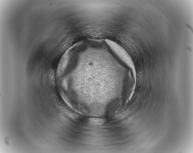 X0000094940234200712201122