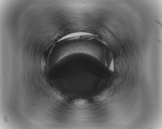 X0000094940235200712201122